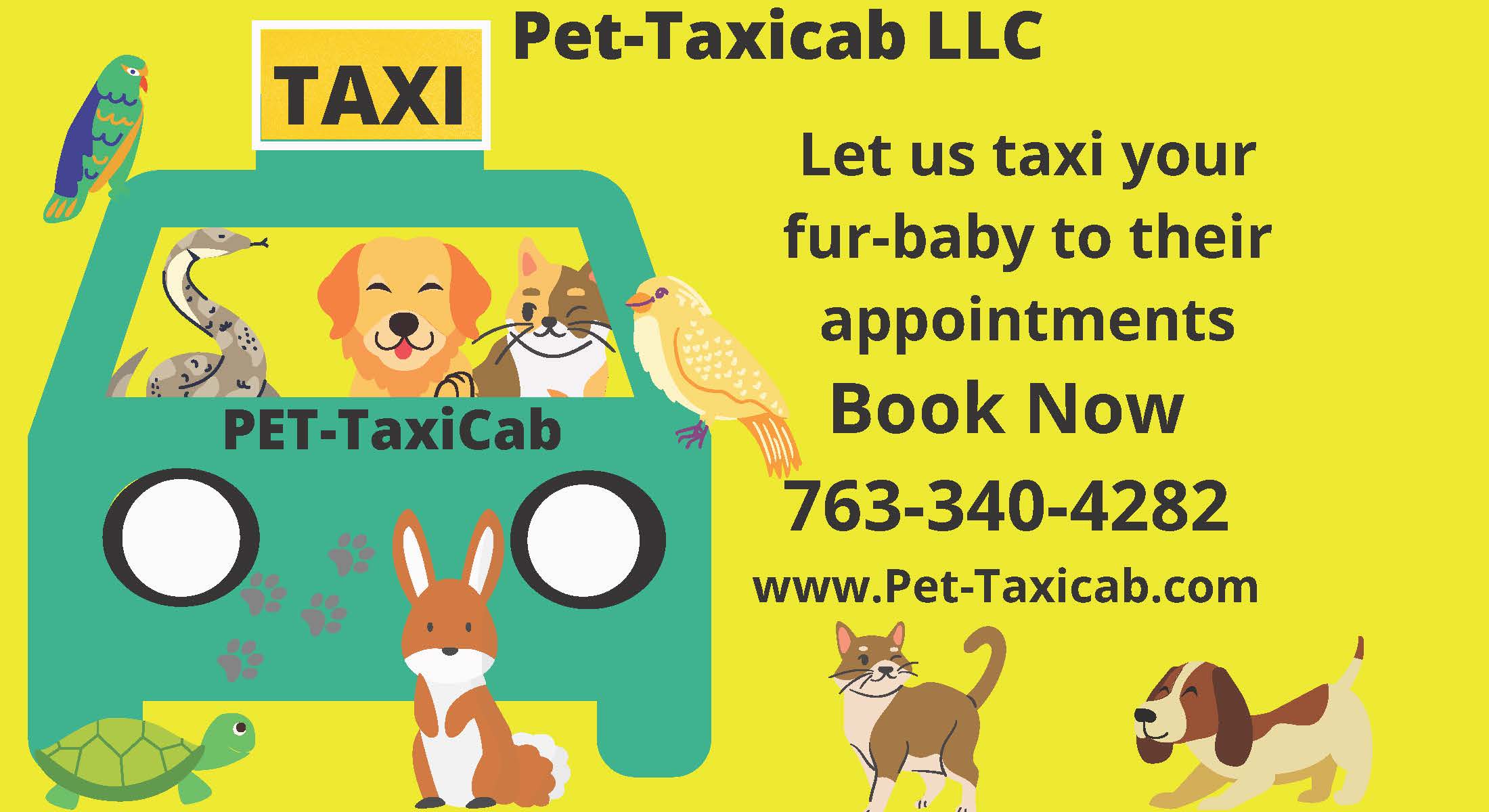 Copy of PetTaxiBannerLogo 11 x 6 in 2 Page 1